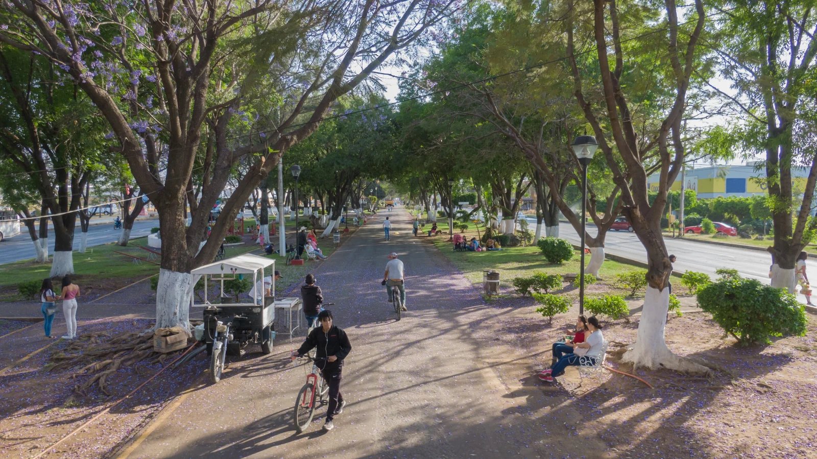 Personas y ciclistas recorren un espacio urbano de Zamora, Michoacán.
